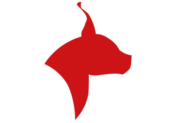 caracal fit